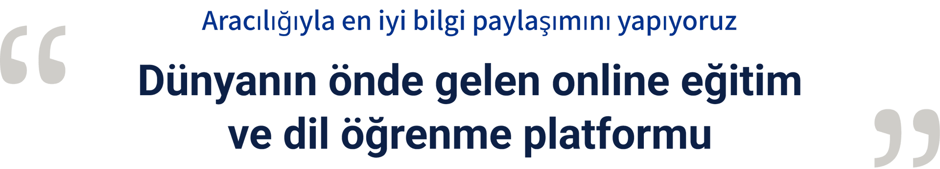 our-brands-slogan
